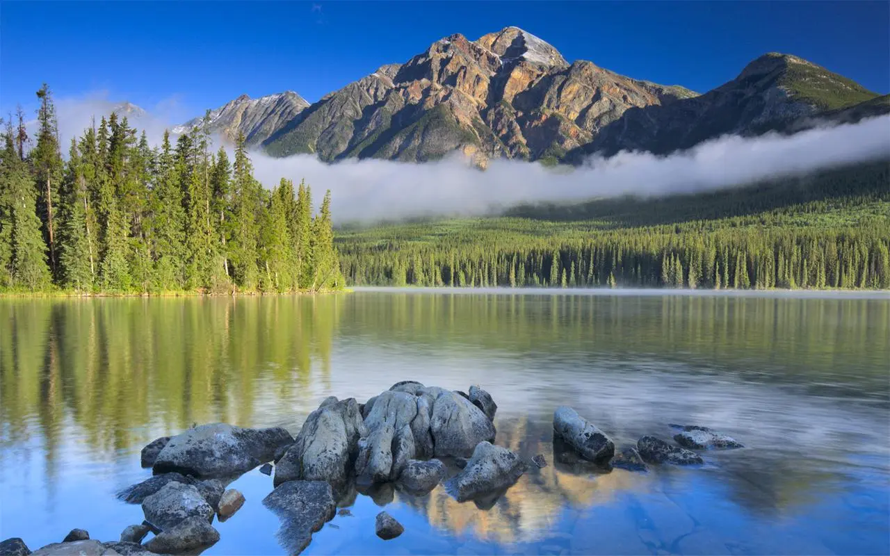 工业网络化新型
